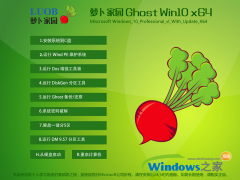 Win10系统下载 萝卜家园ghost win10 x64专业版v201608
